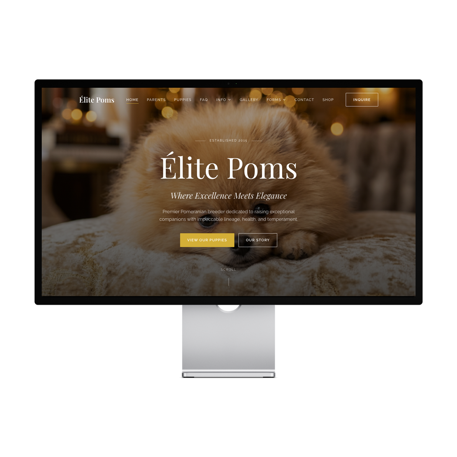 Elite Poms Template — preview 1 of 4