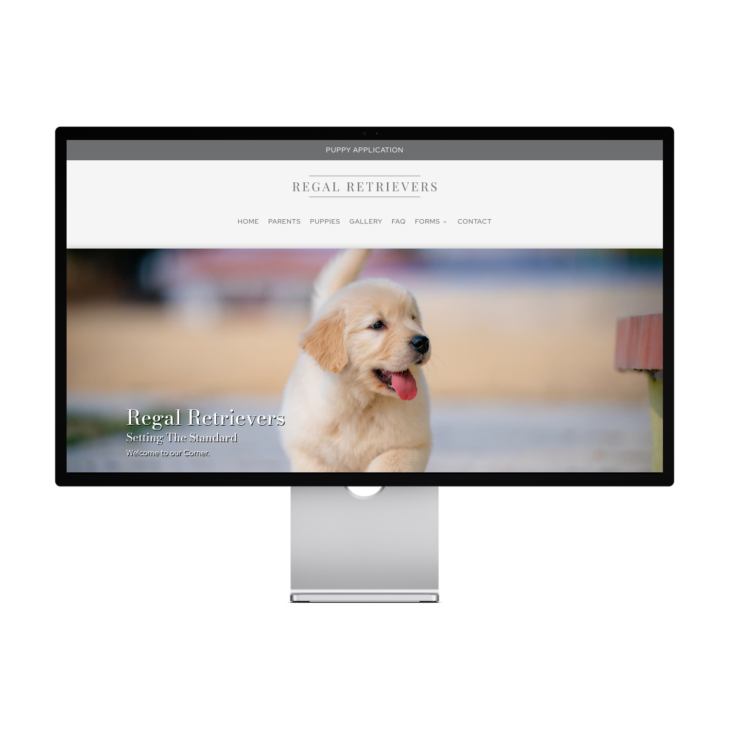 Retriever Heritage Template — preview 1 of 3