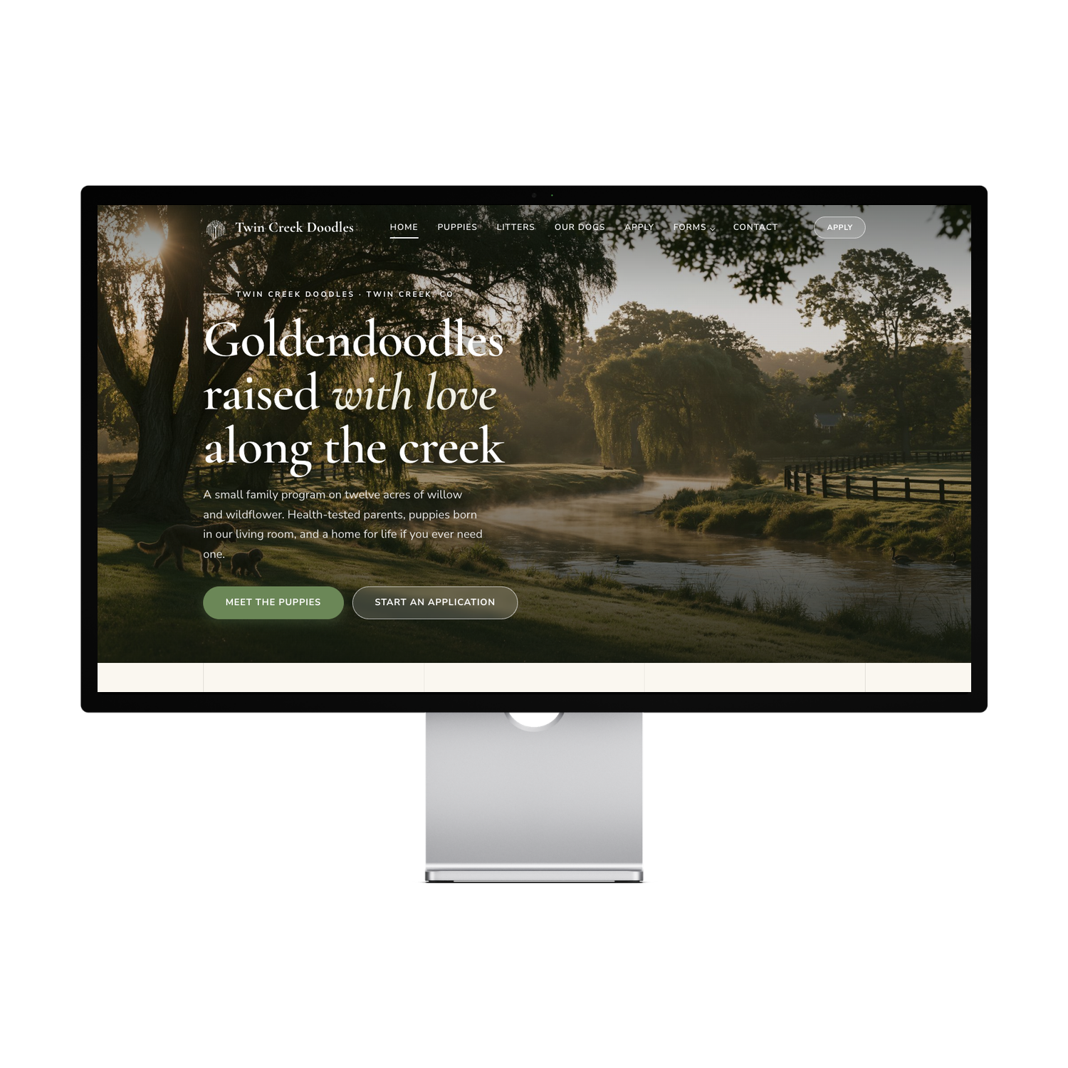 Willow Creek Doodles Template — preview 1 of 5