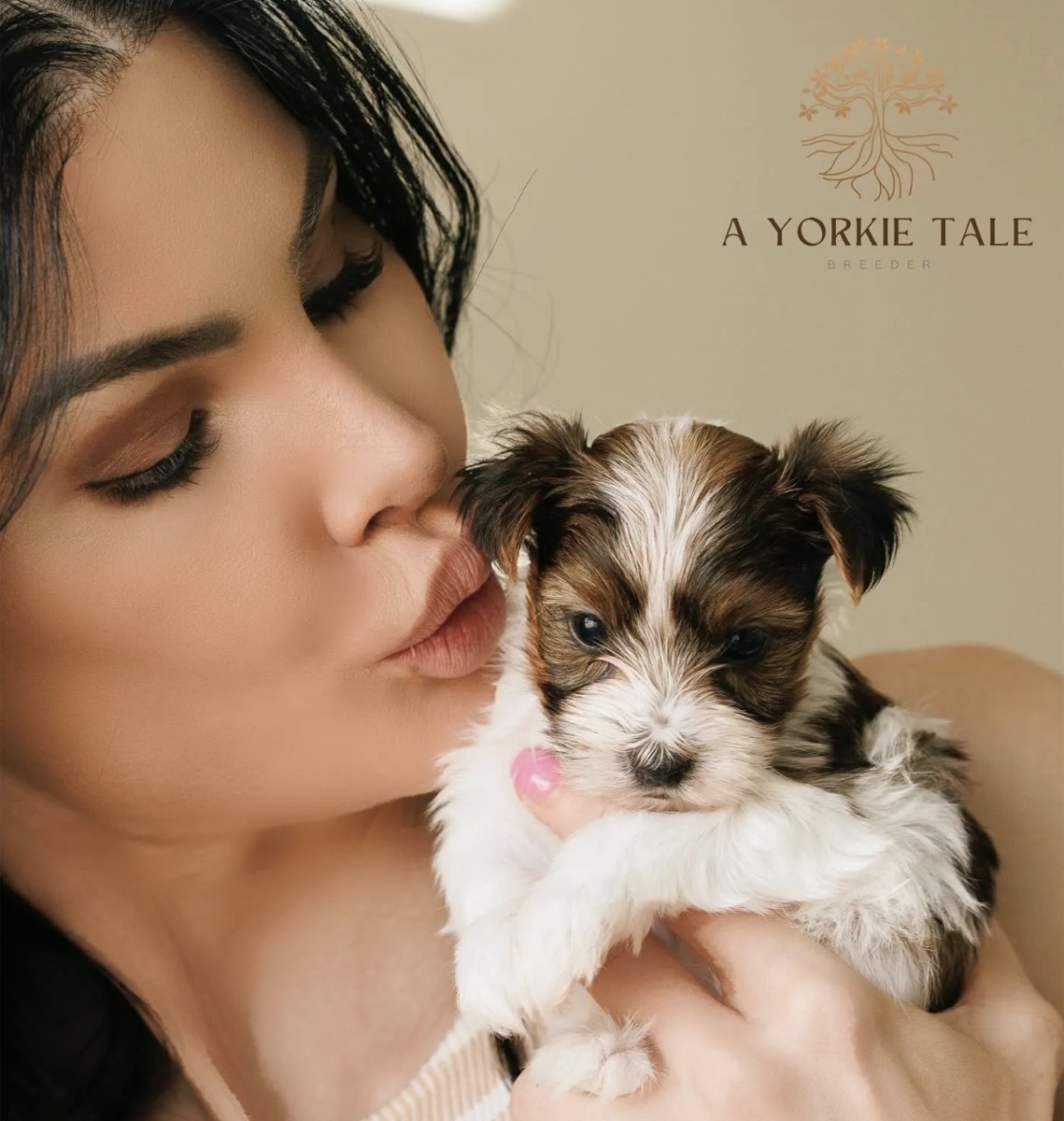 A Yorkie Tale